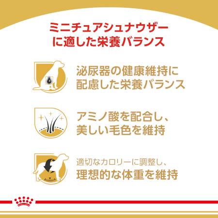 ロイヤルカナン BHN ミニチュアシュナウザー (成犬～高齢犬用 